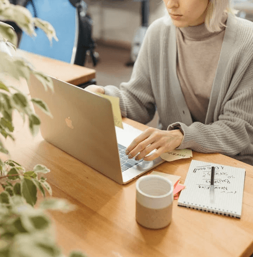 Raiz Invelink ilustração da equipa de apoio